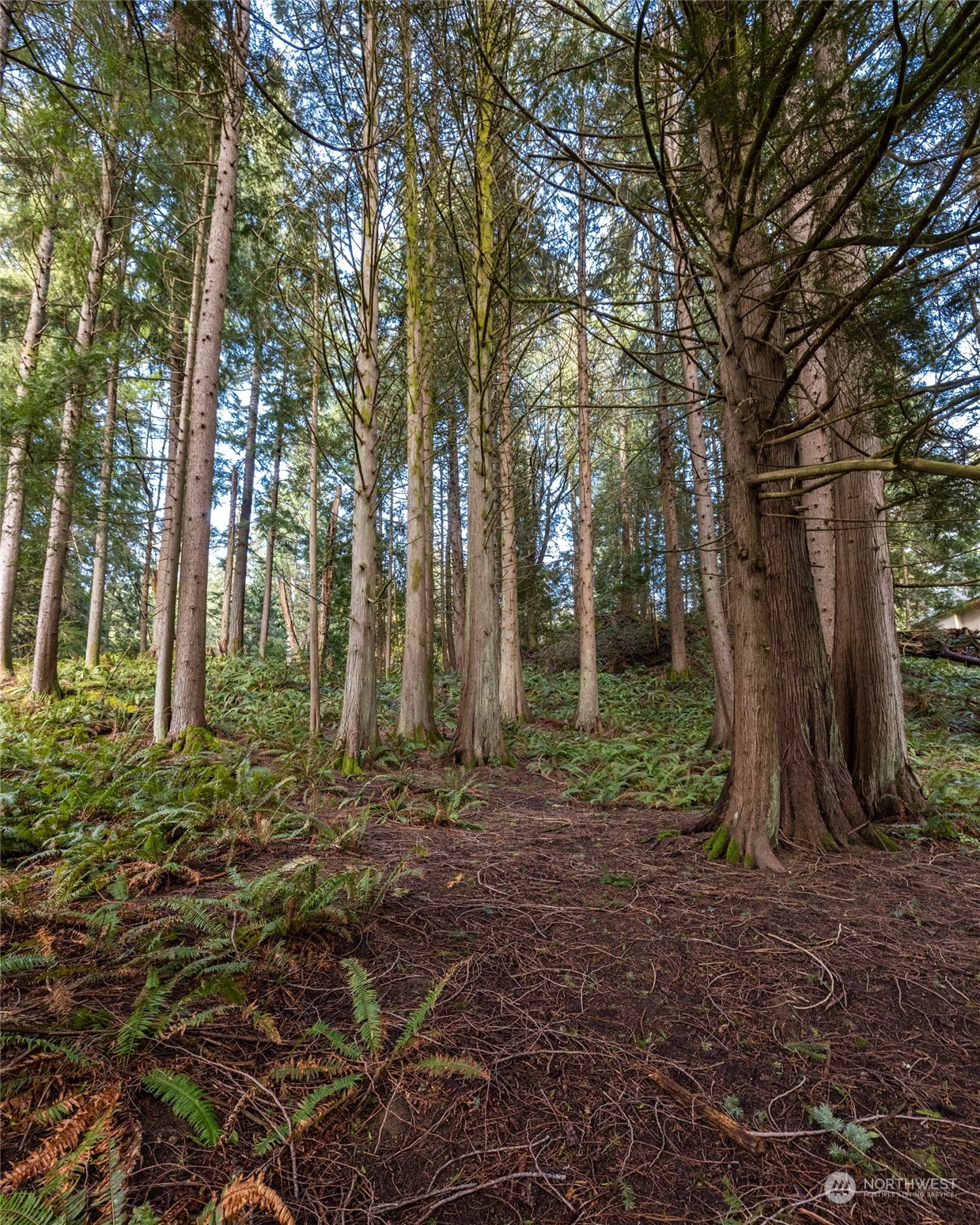 10 A&b Shooting Star Court Property Photo 1