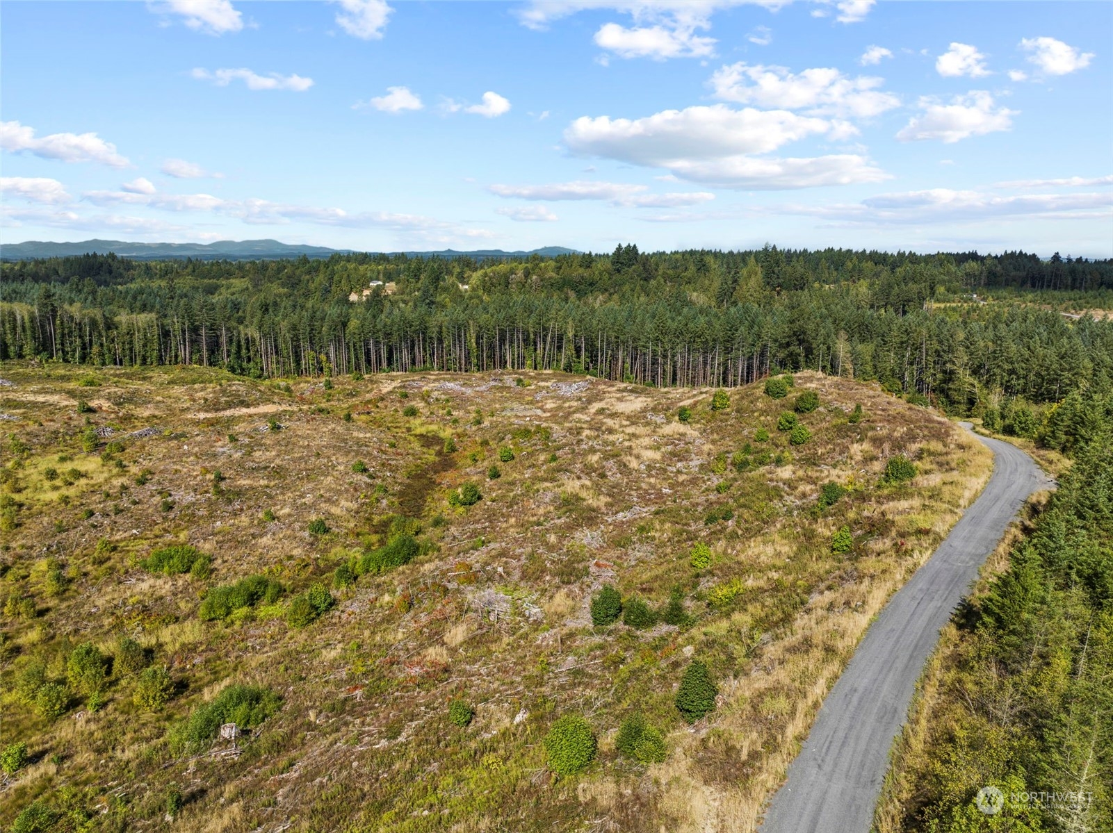 0 Salmon Creek Road Property Photo 1