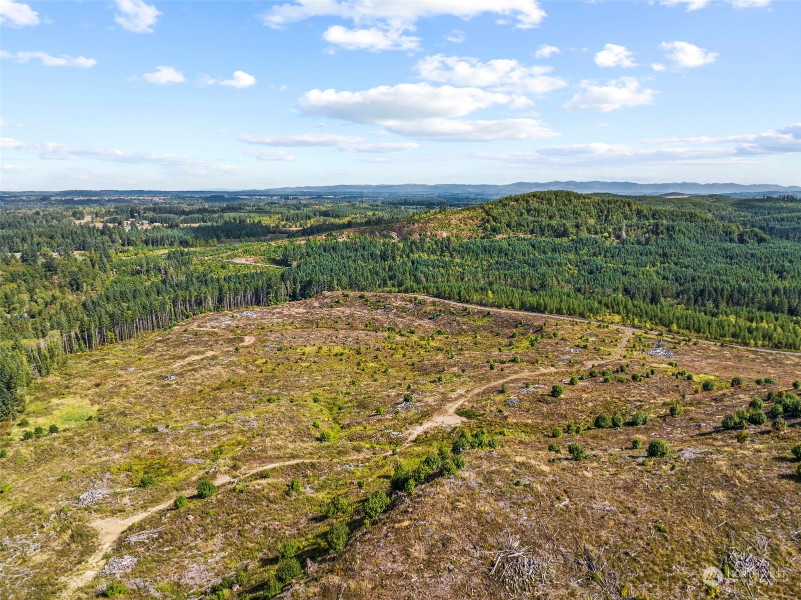 0 Salmon Creek Road Property Photo 3