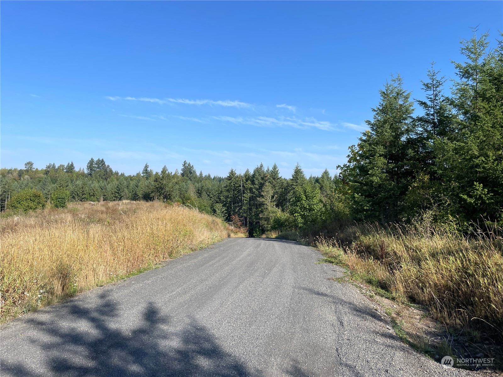0 Salmon Creek Road Property Photo 9