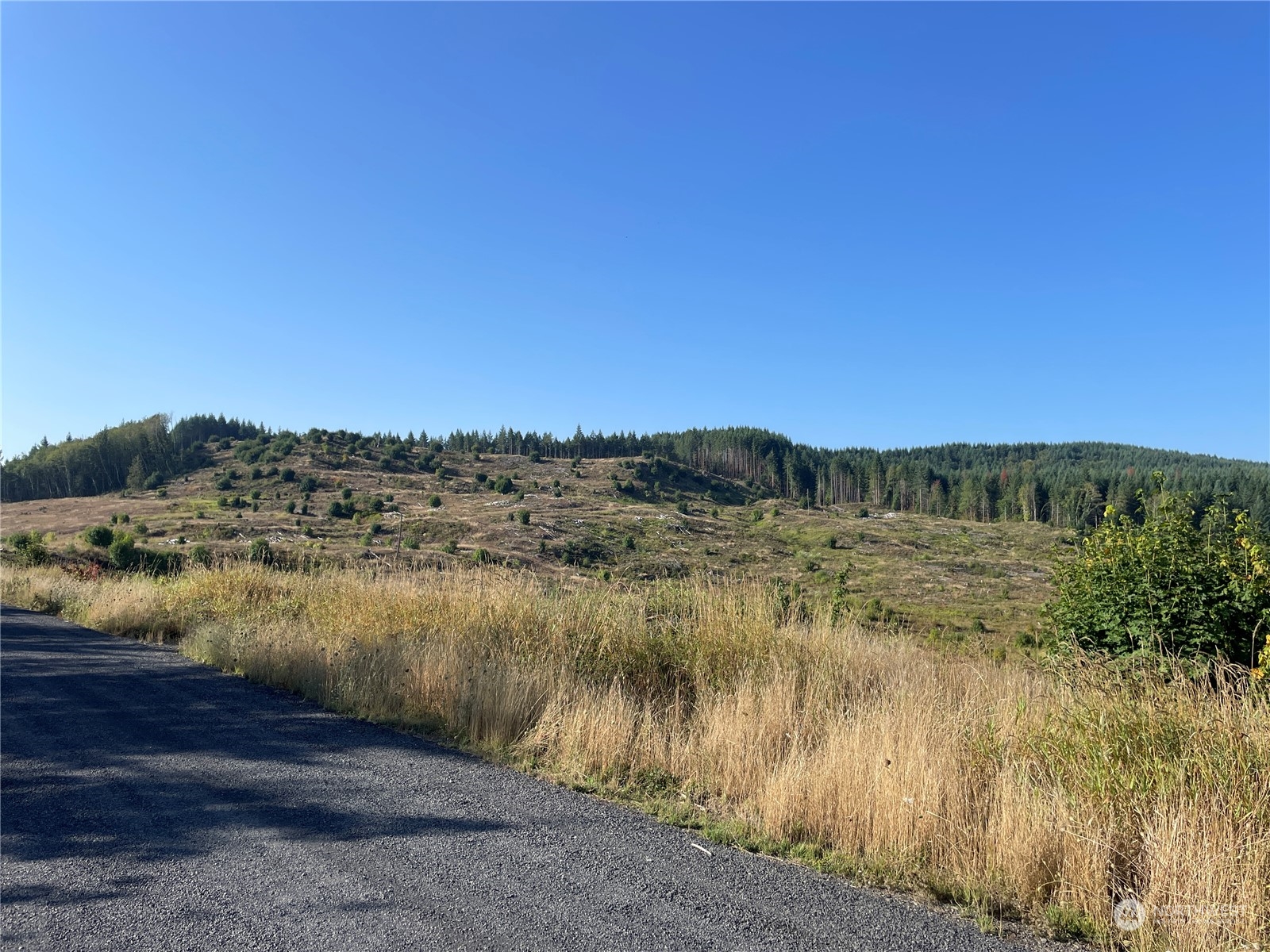 0 Salmon Creek Road Property Photo 10