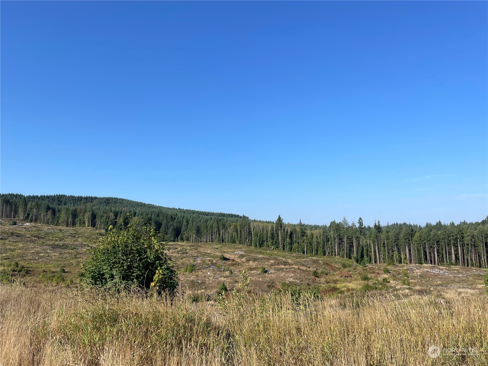0 Salmon Creek Road Property Photo 11