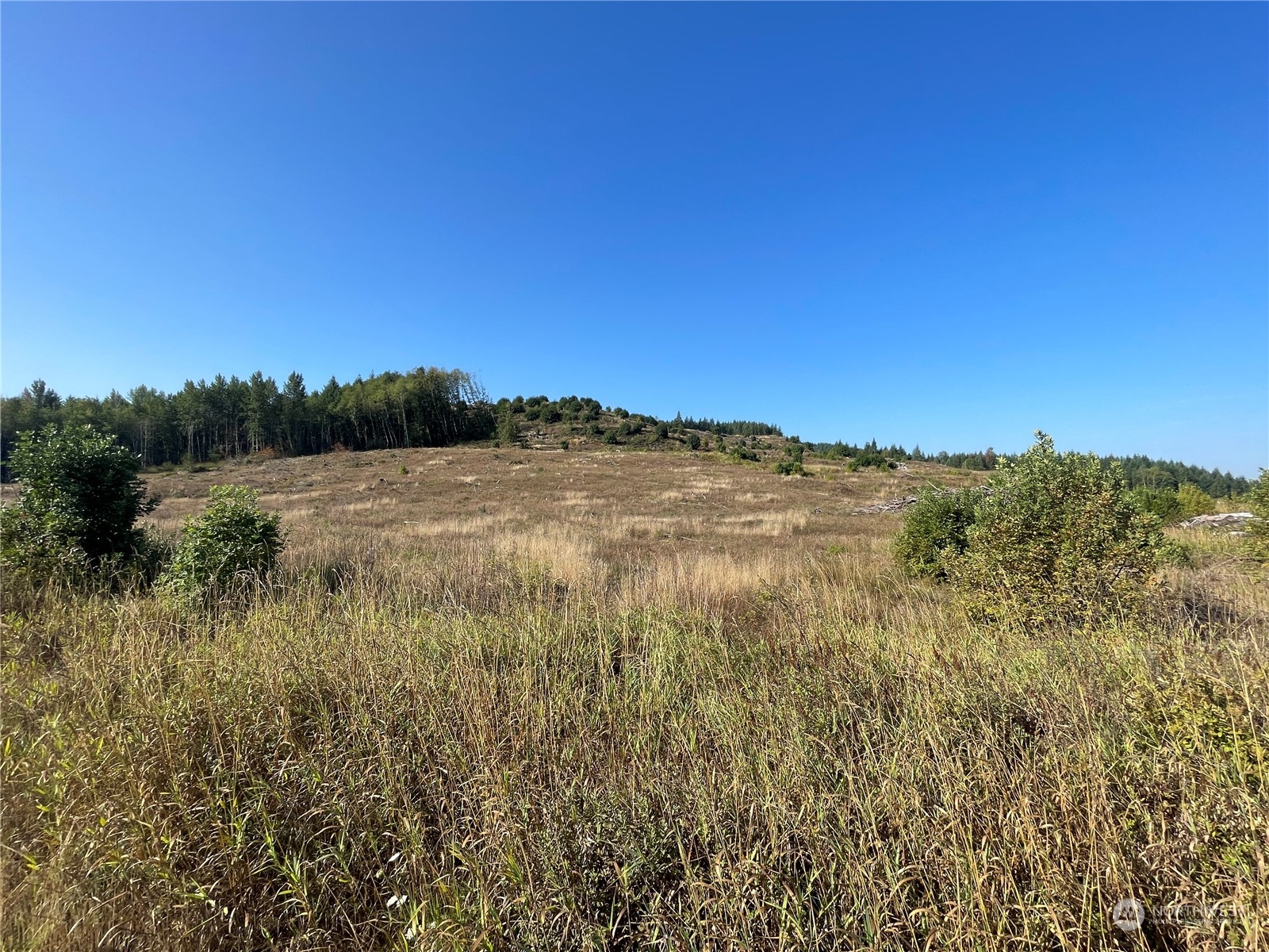 0 Salmon Creek Road Property Photo 12