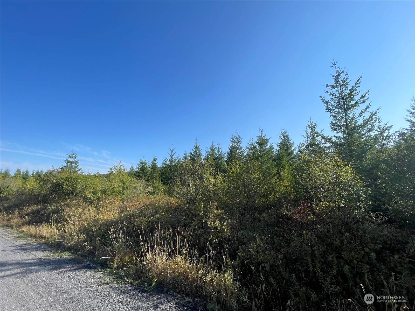 0 Salmon Creek Road Property Photo 13