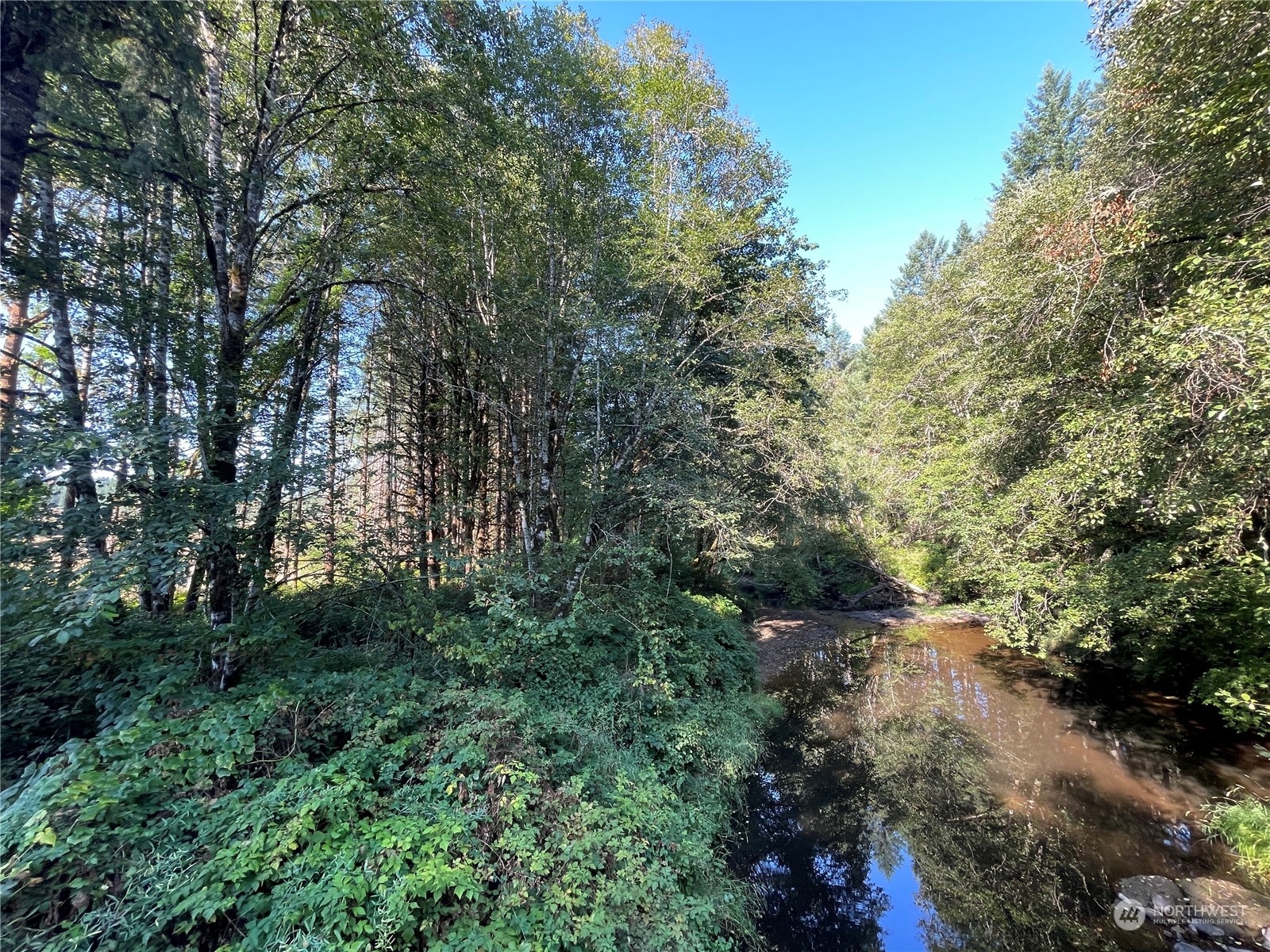 0 Salmon Creek Road Property Photo 16