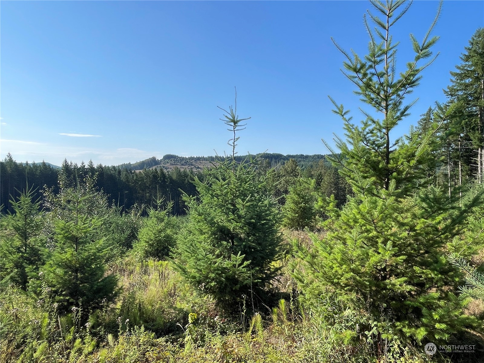 0 Salmon Creek Road Property Photo 17