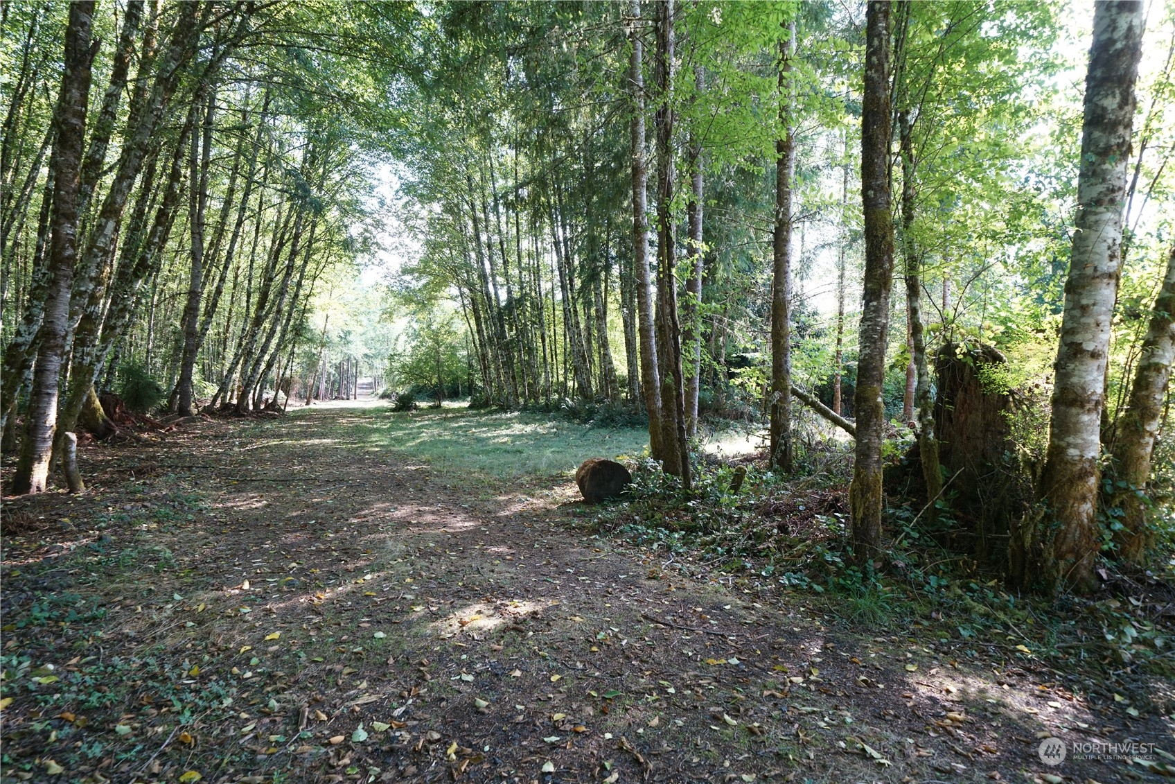 187 Porcupine Lane Property Photo