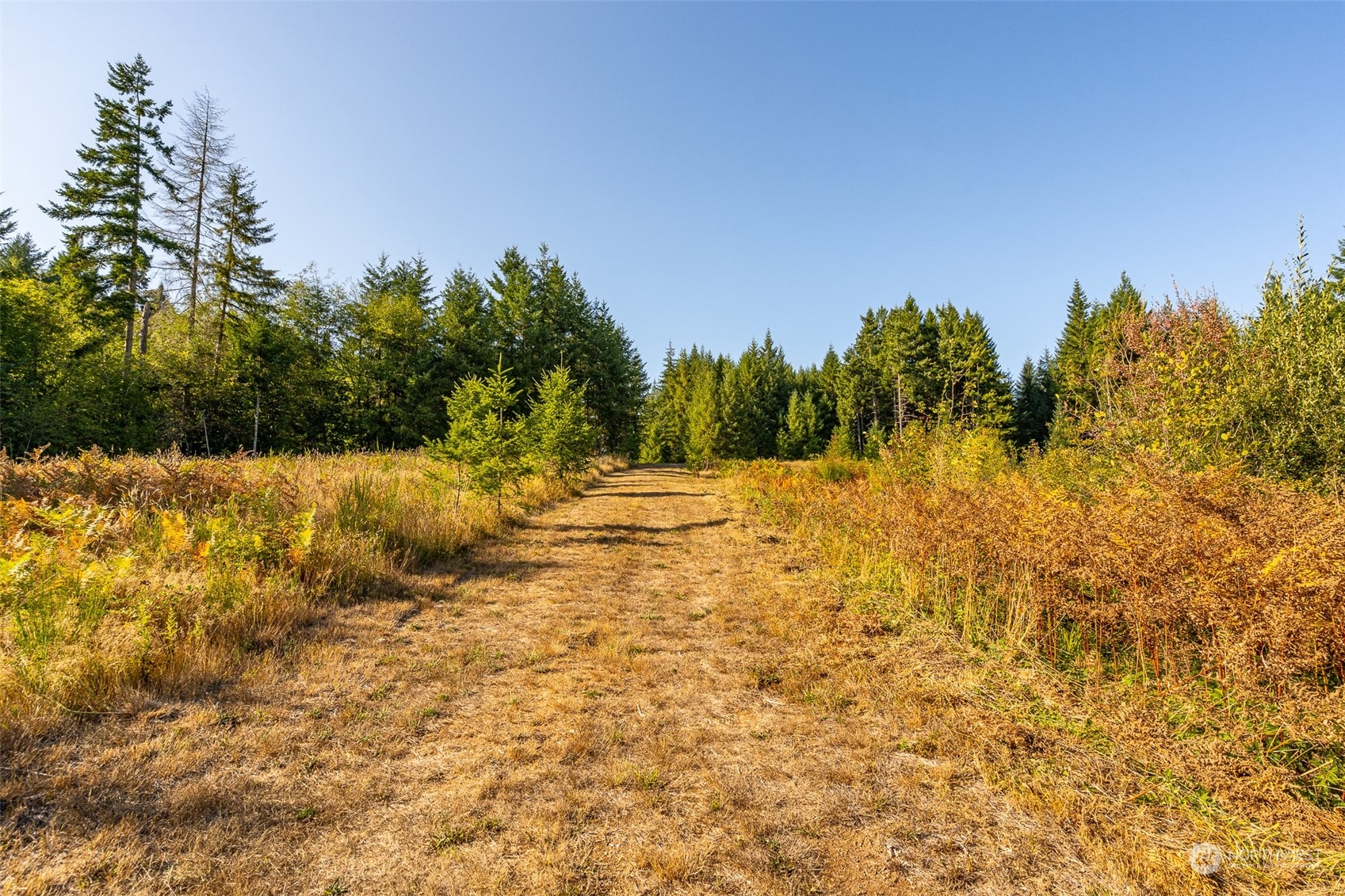 465 29 Sargent Road Property Photo 6