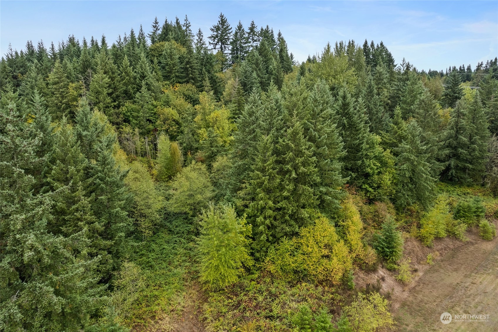 2585 Jackson Hwy Property Photo 10