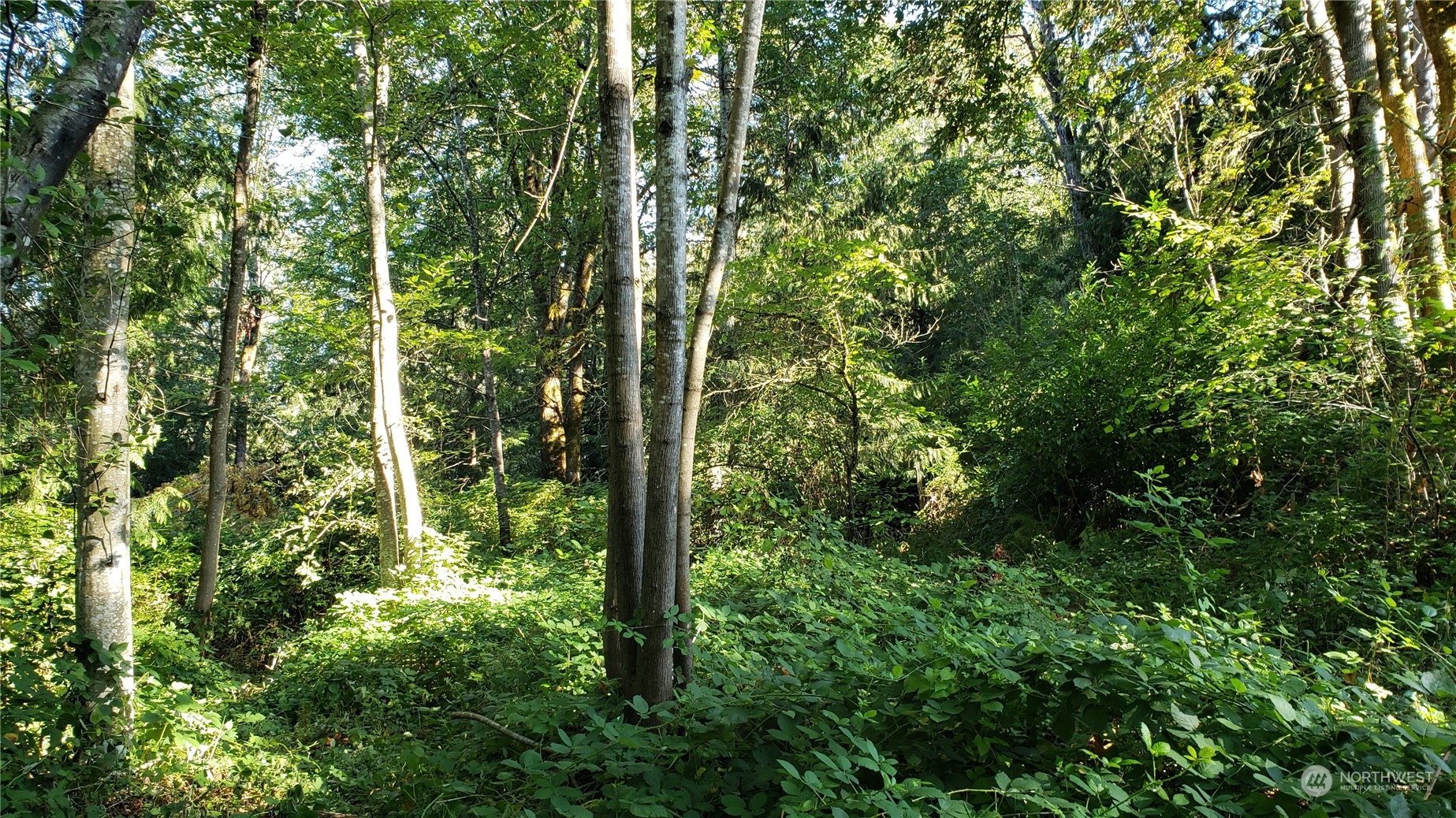 15800 62nd Avenue Property Photo 9