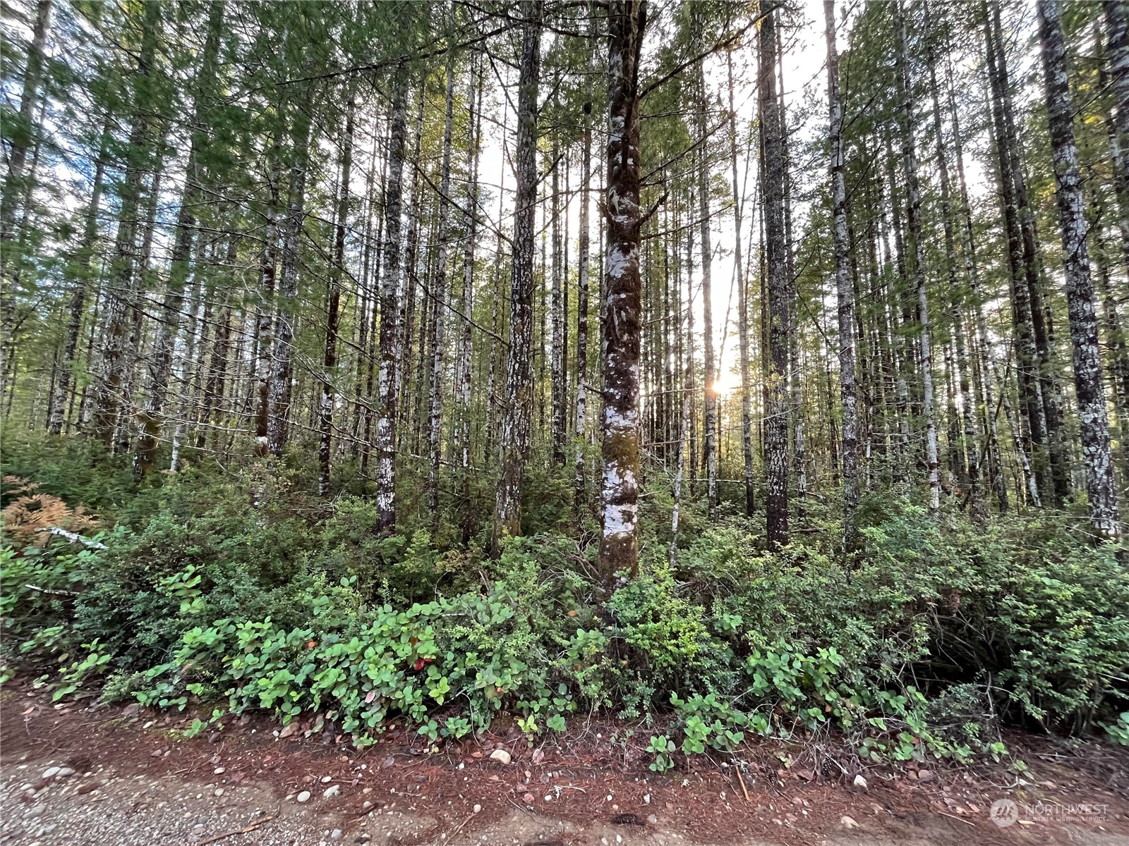 0 Dewatto Hills Property Photo 1