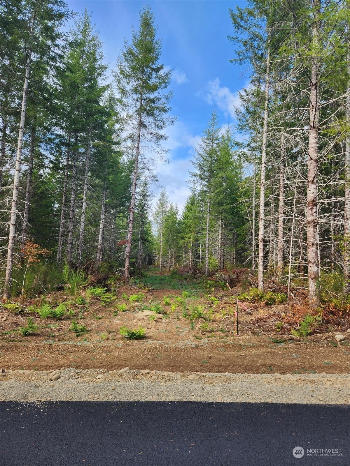 0 Lot 1 Div 2 Raven Lane Property Photo 3