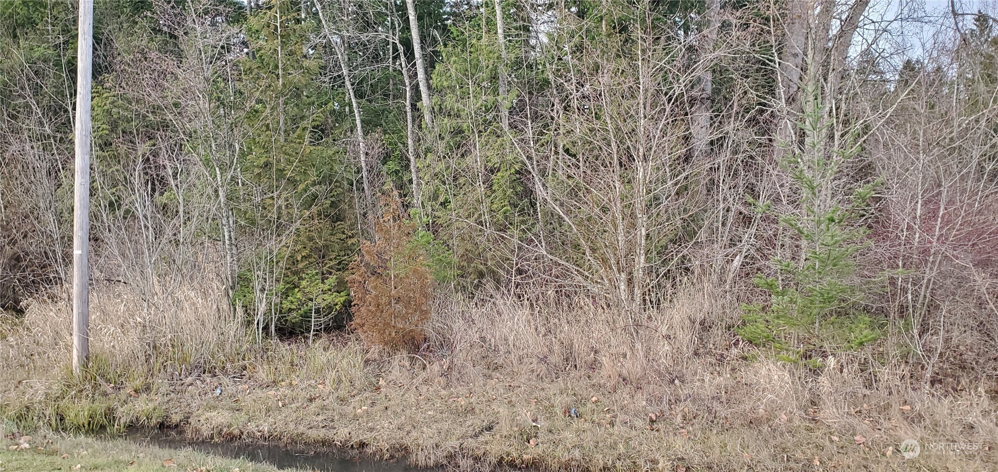 4492 Sweet Road Property Photo 3