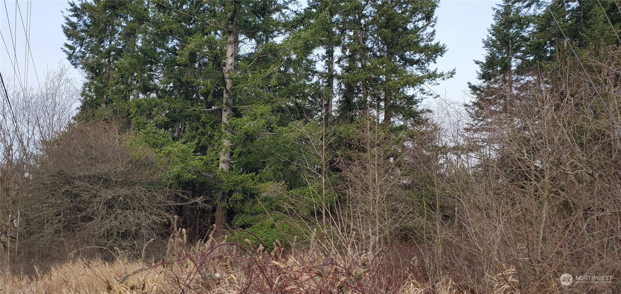 4492 Sweet Road Property Photo 5