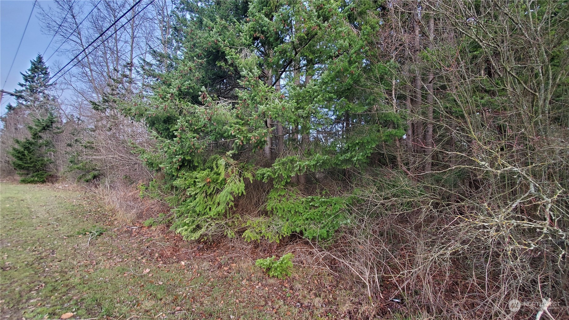 4492 Sweet Road Property Photo 9