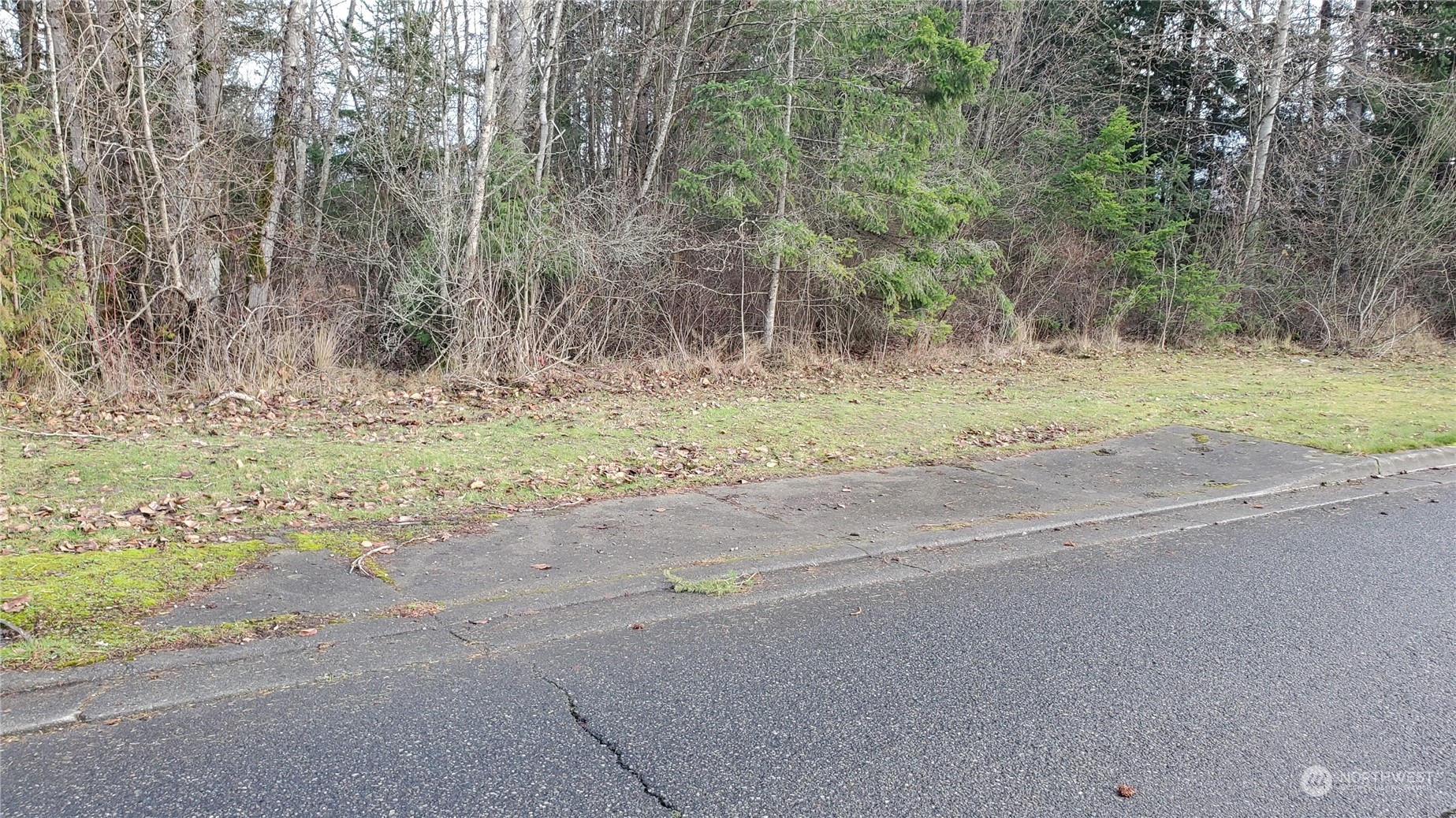 4492 Sweet Road Property Photo 12