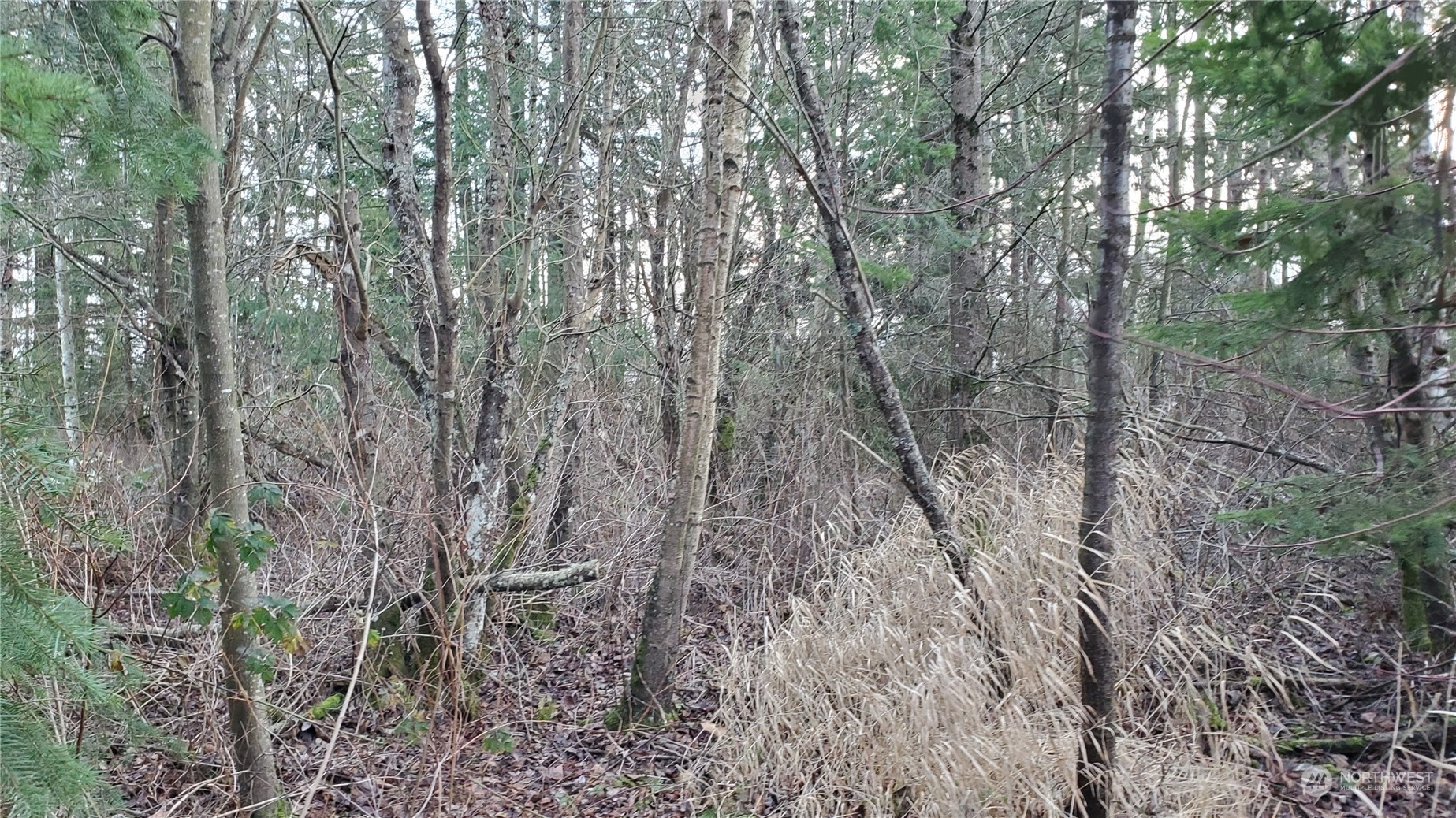4492 Sweet Road Property Photo 15