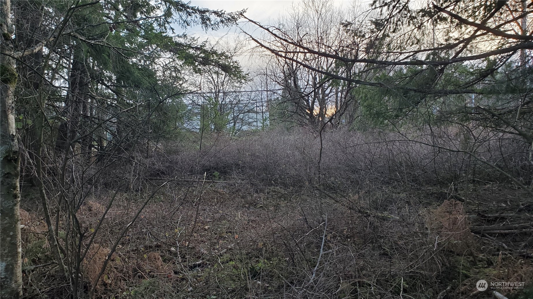 4492 Sweet Road Property Photo 18