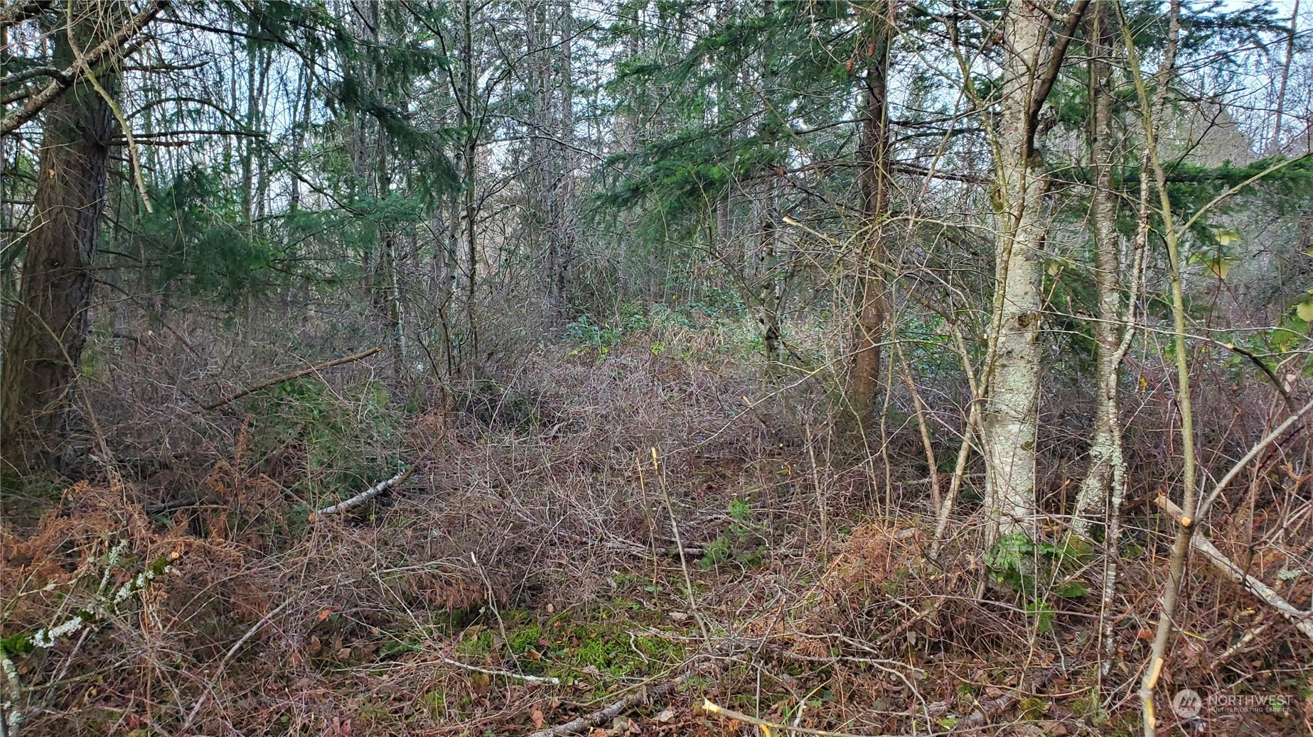 4492 Sweet Road Property Photo 20