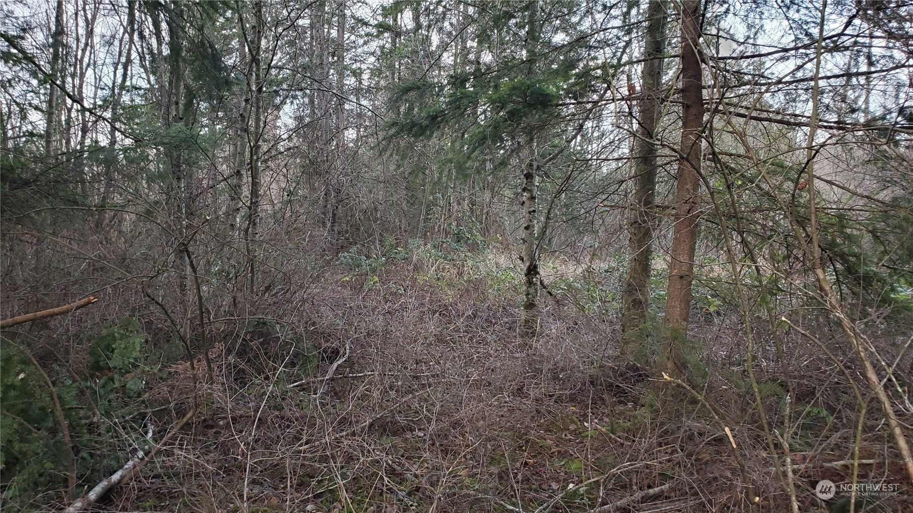 4492 Sweet Road Property Photo 21
