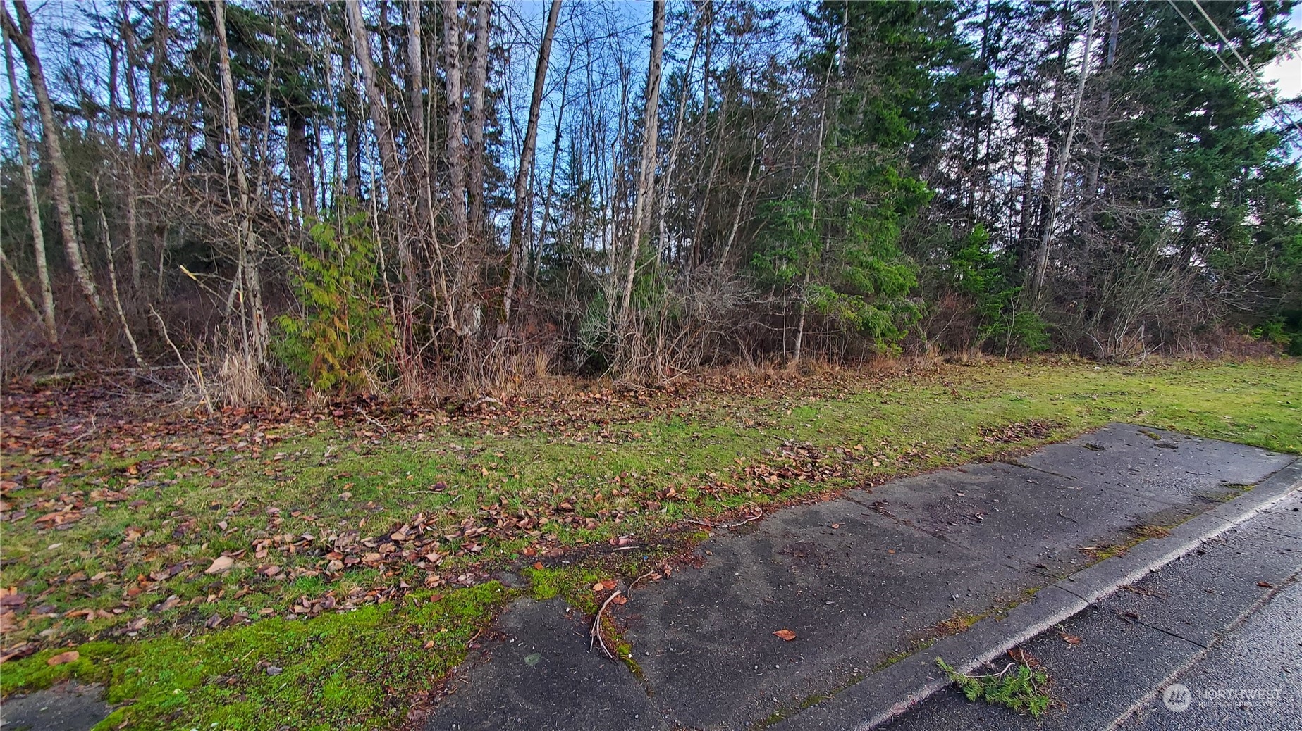 4492 Sweet Road Property Photo 23