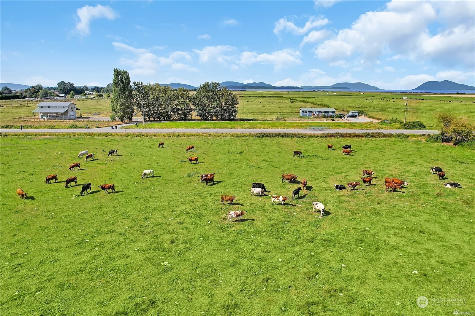 15115 Bow Hill Road Property Photo 21