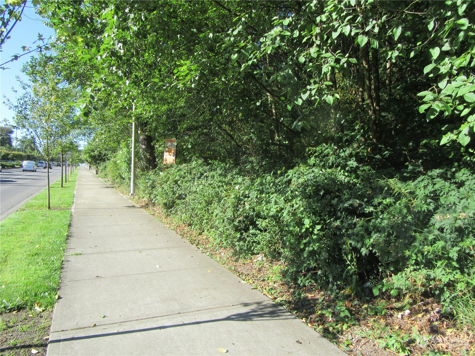29829 Pacific Highway Property Photo 2