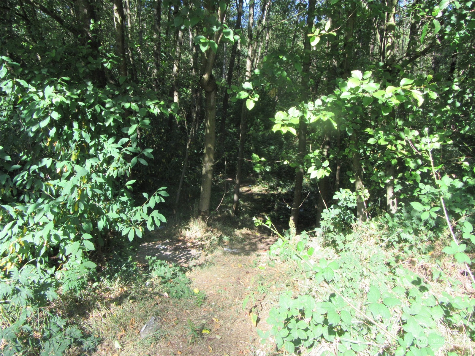 29829 Pacific Highway Property Photo 3