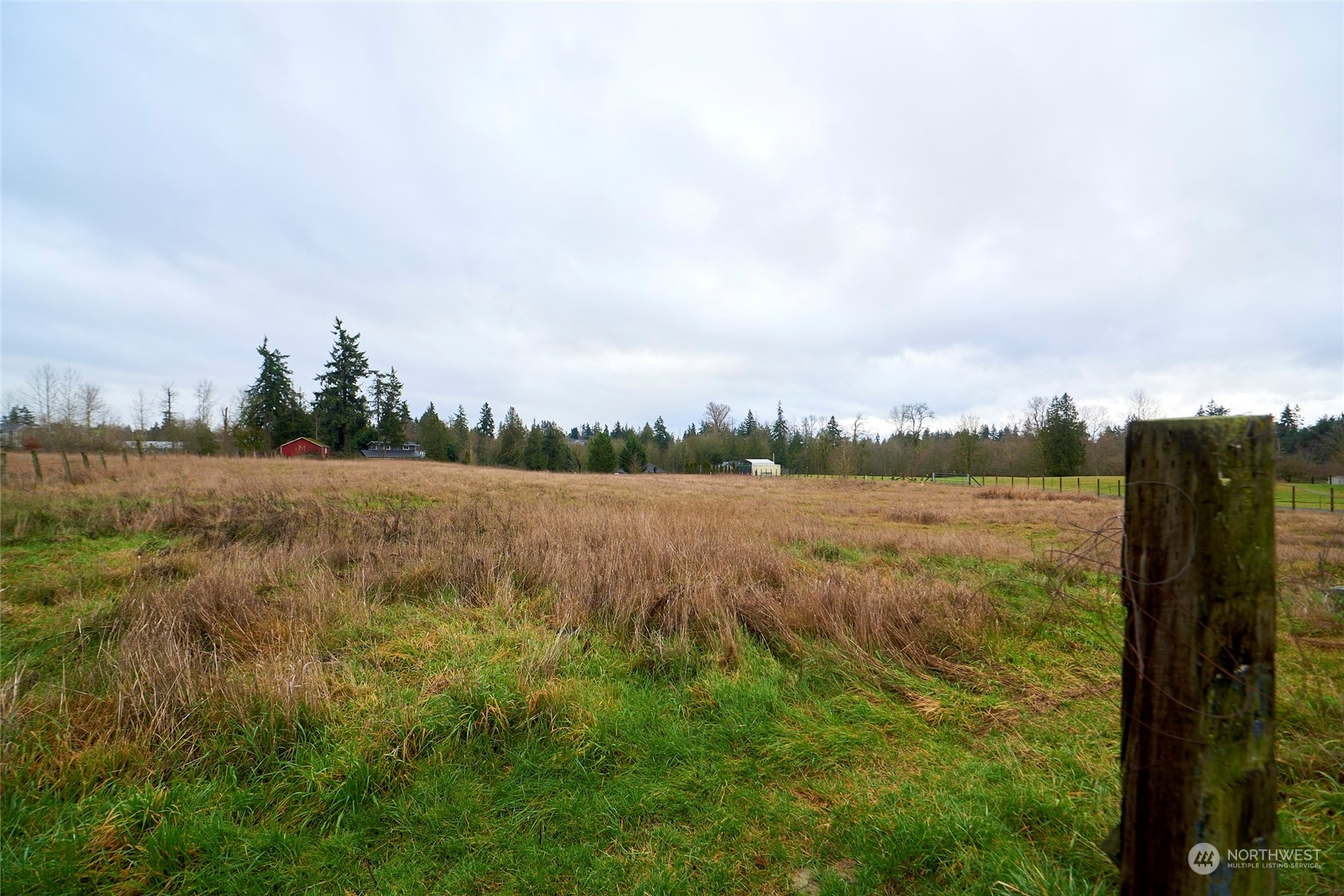 10014 24th Street Property Photo 24
