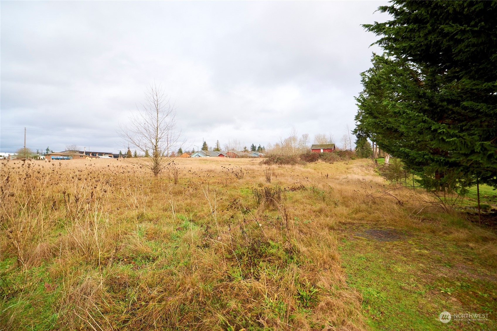 10014 24th Street Property Photo 28