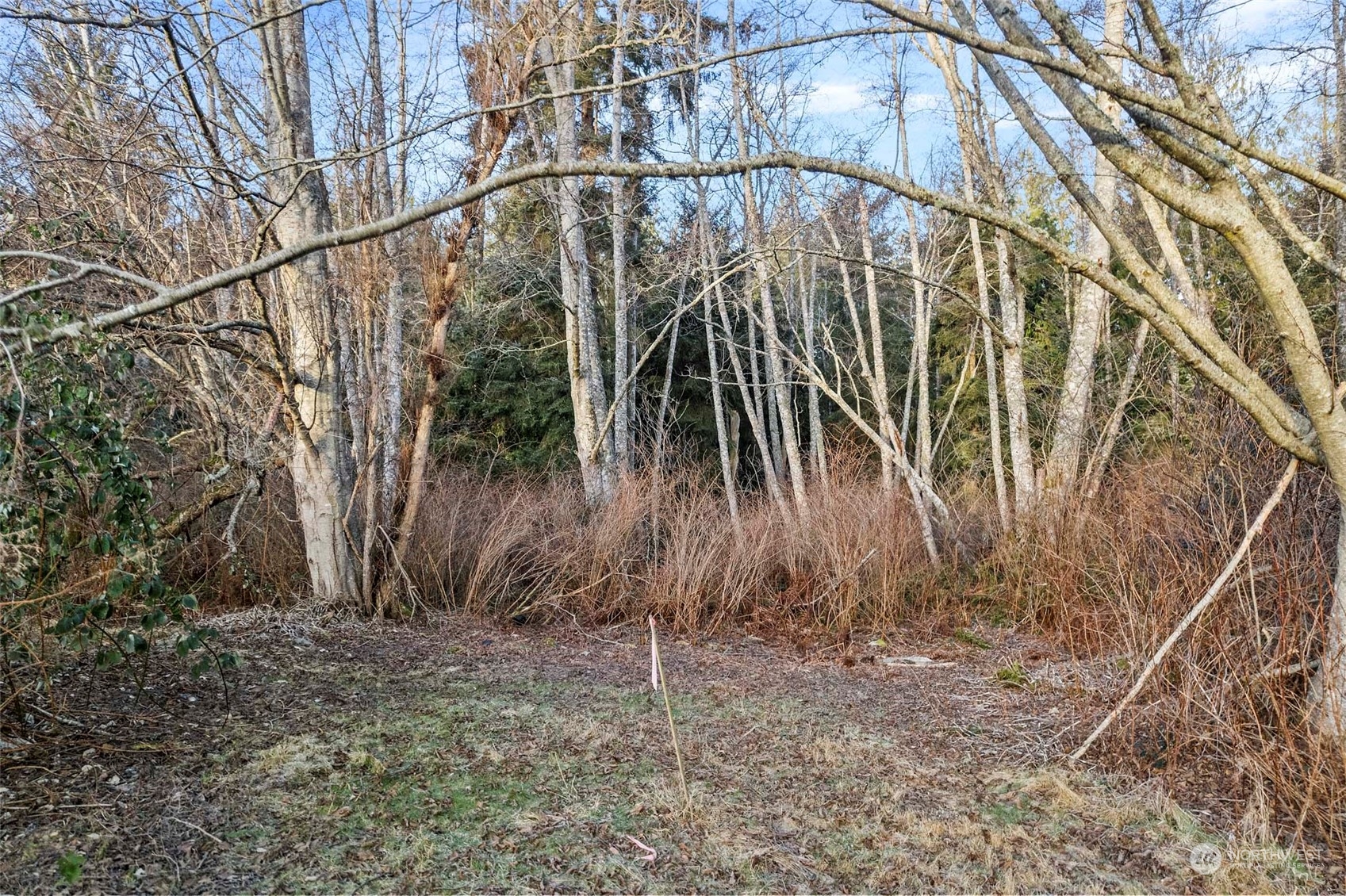 5022 Deception Circle Property Photo 4