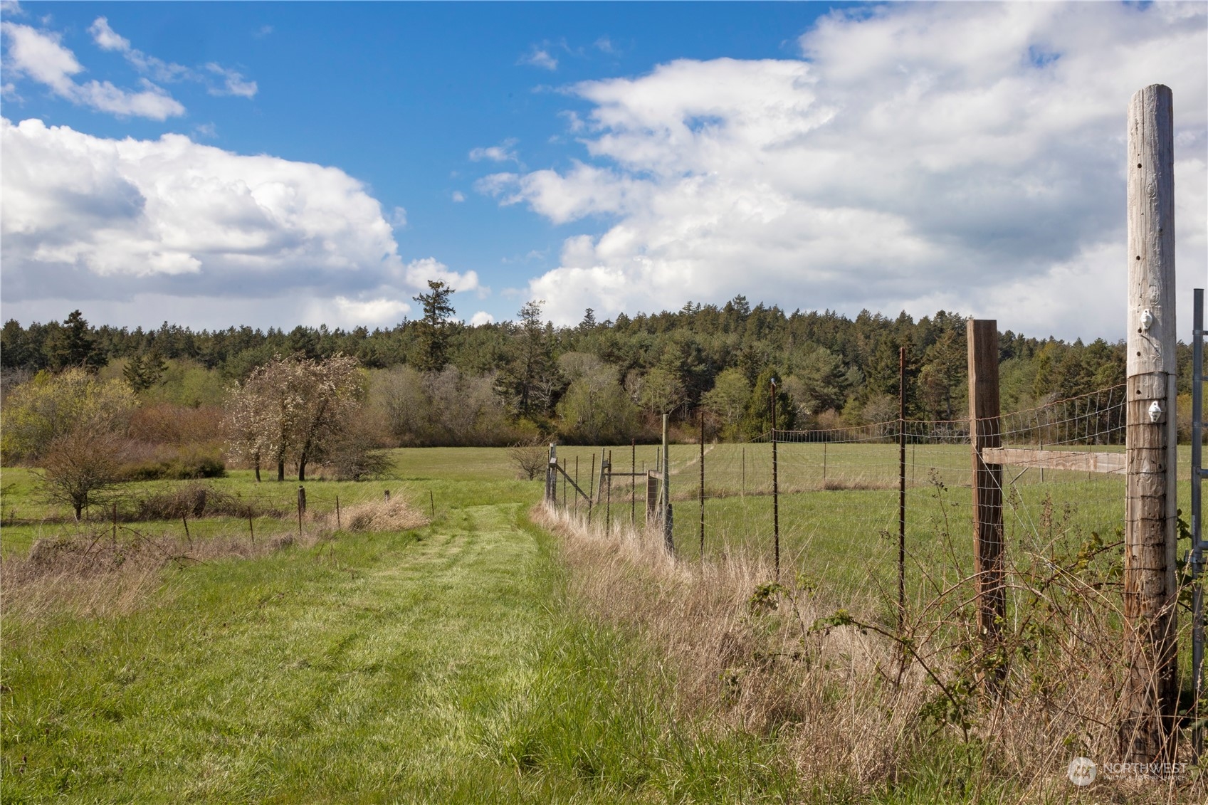 935 Mitchell Bay Road Farm Property Photo 26