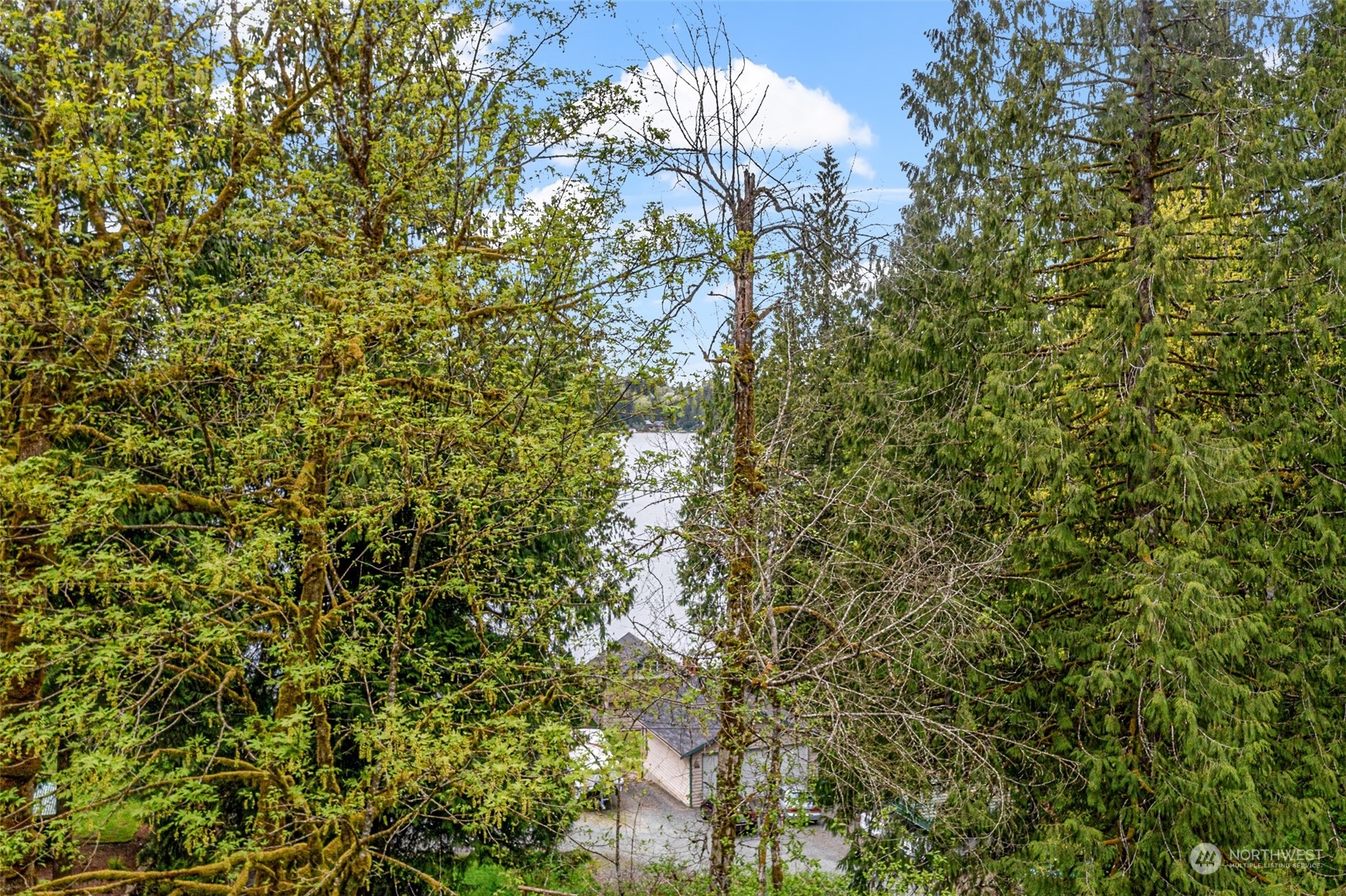 6 Xx S Tulloch Road Property Photo 1