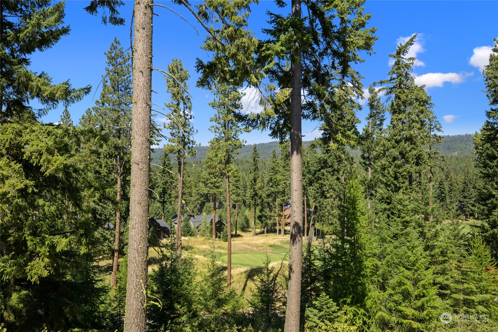131 Miners Camp Way Property Photo 34