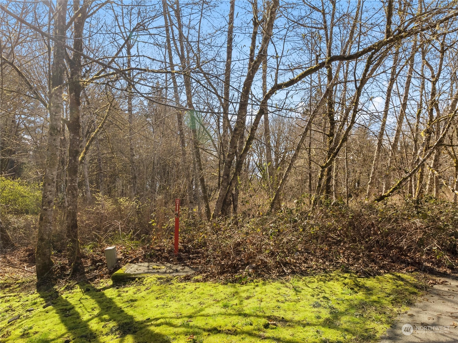 9014 129th Street Ct Property Photo 6