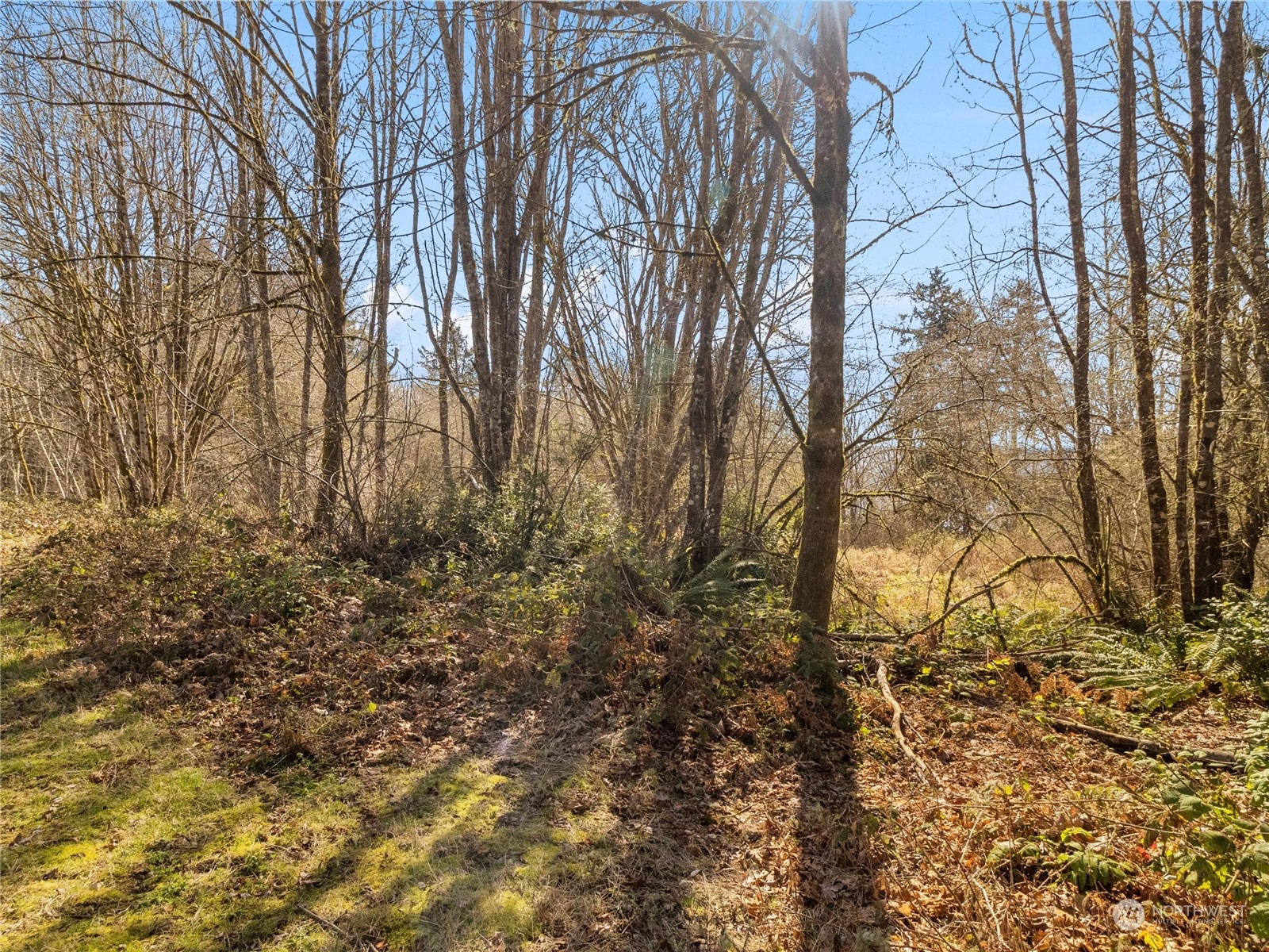 9014 129th Street Ct Property Photo 9
