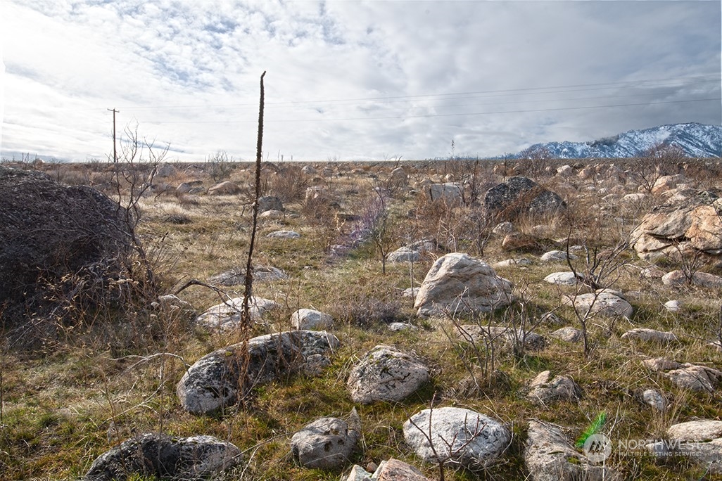 1 Boulder Gulch Loop Property Photo 16