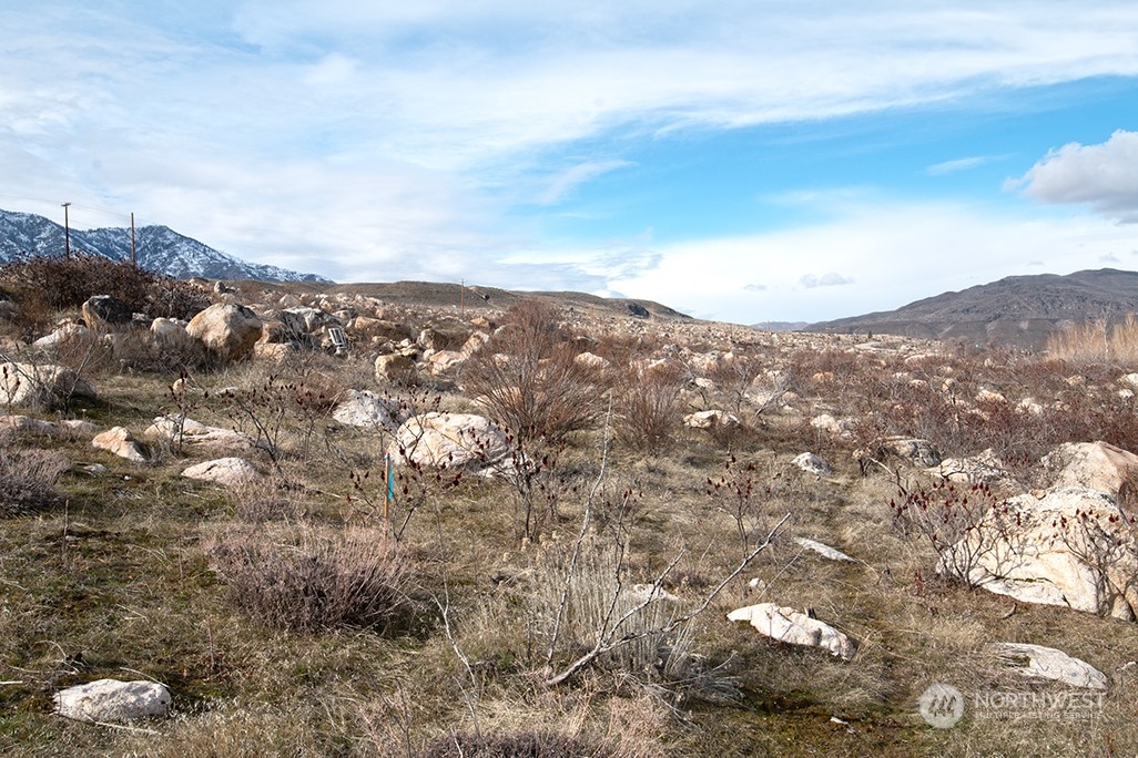 1 Boulder Gulch Loop Property Photo 23