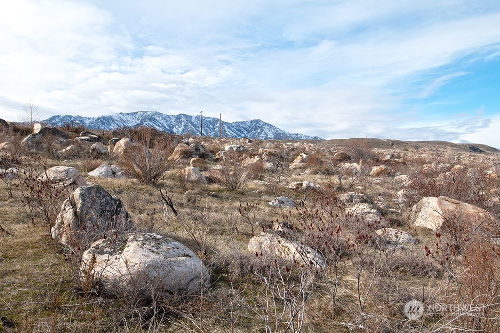 1 Boulder Gulch Loop Property Photo 24