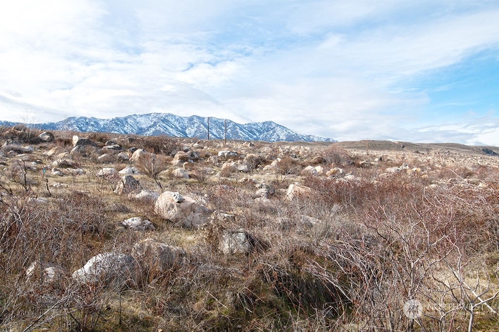 1 Boulder Gulch Loop Property Photo 25
