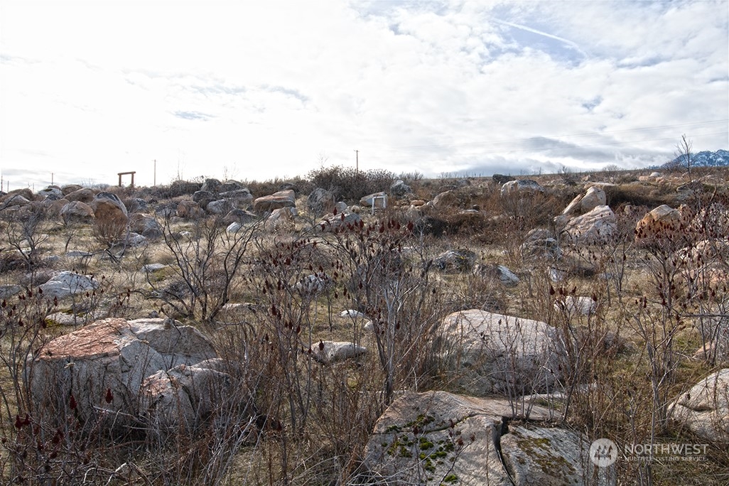1 Boulder Gulch Loop Property Photo 28