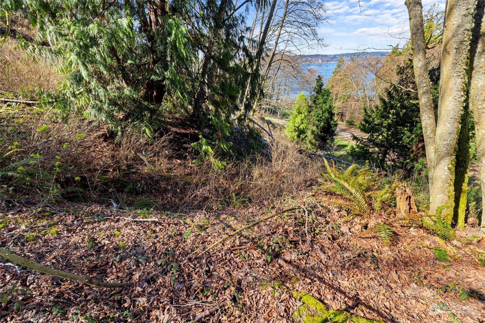 0 Lot19 61st Place Property Photo 3