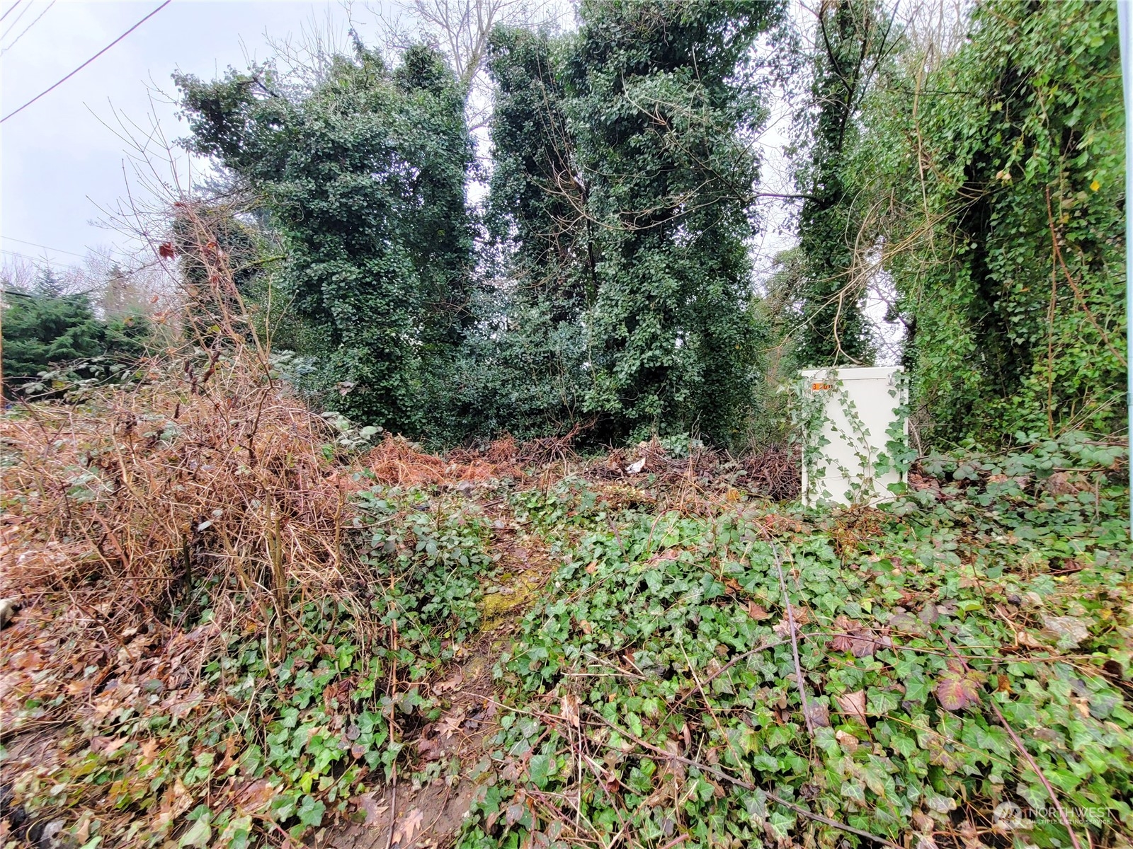 0 Ne Cherry Road Property Photo 10