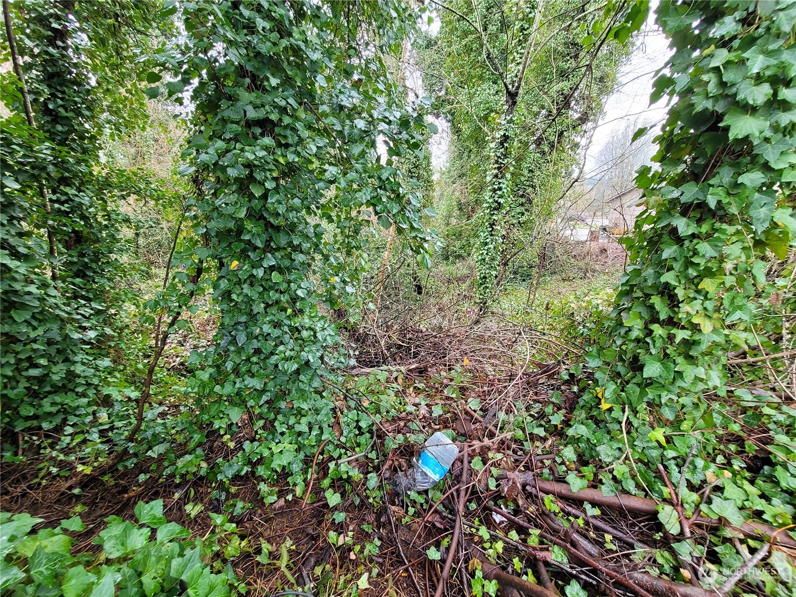 0 Ne Cherry Road Property Photo 12