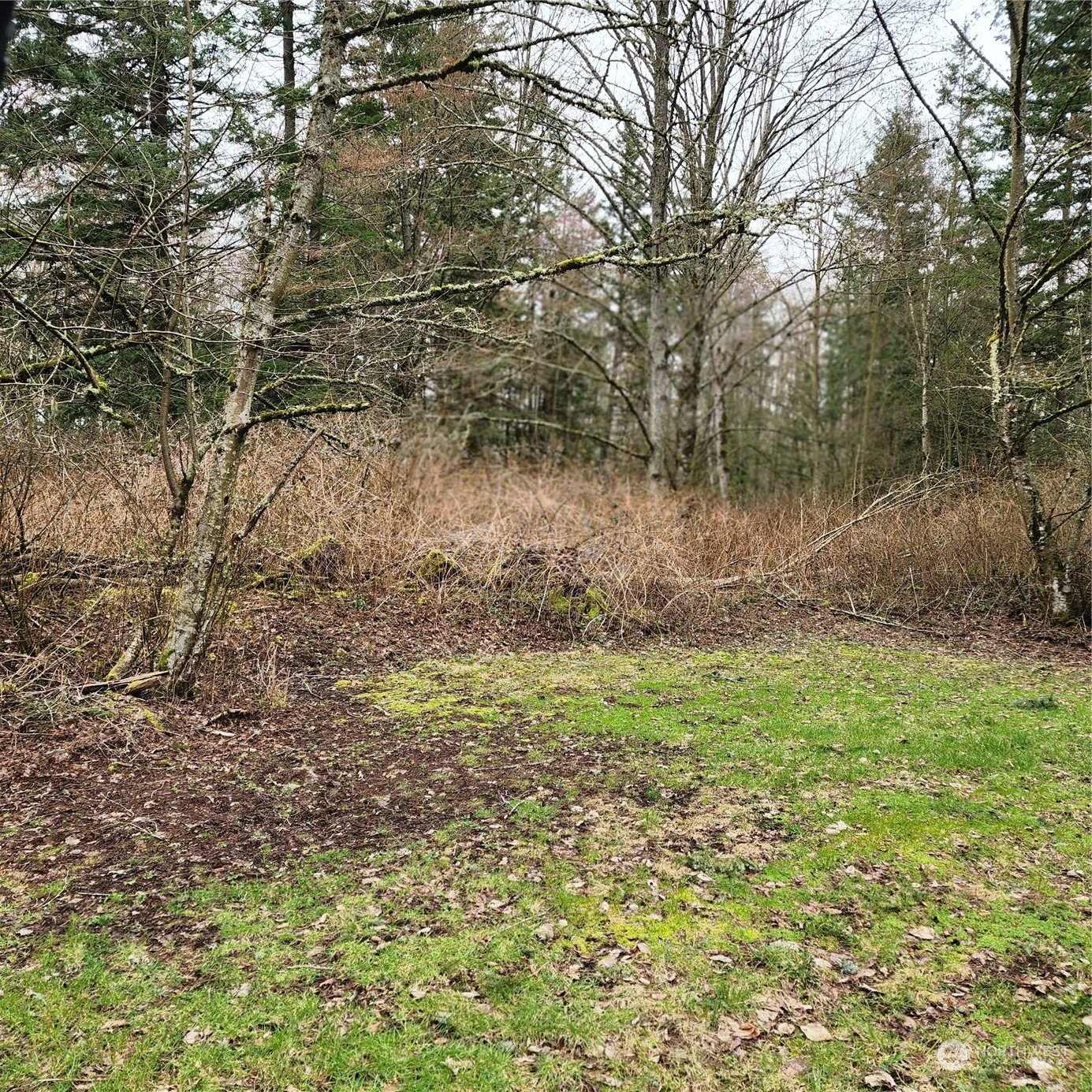 0 Valley View Lot 2 Road Property Photo 1