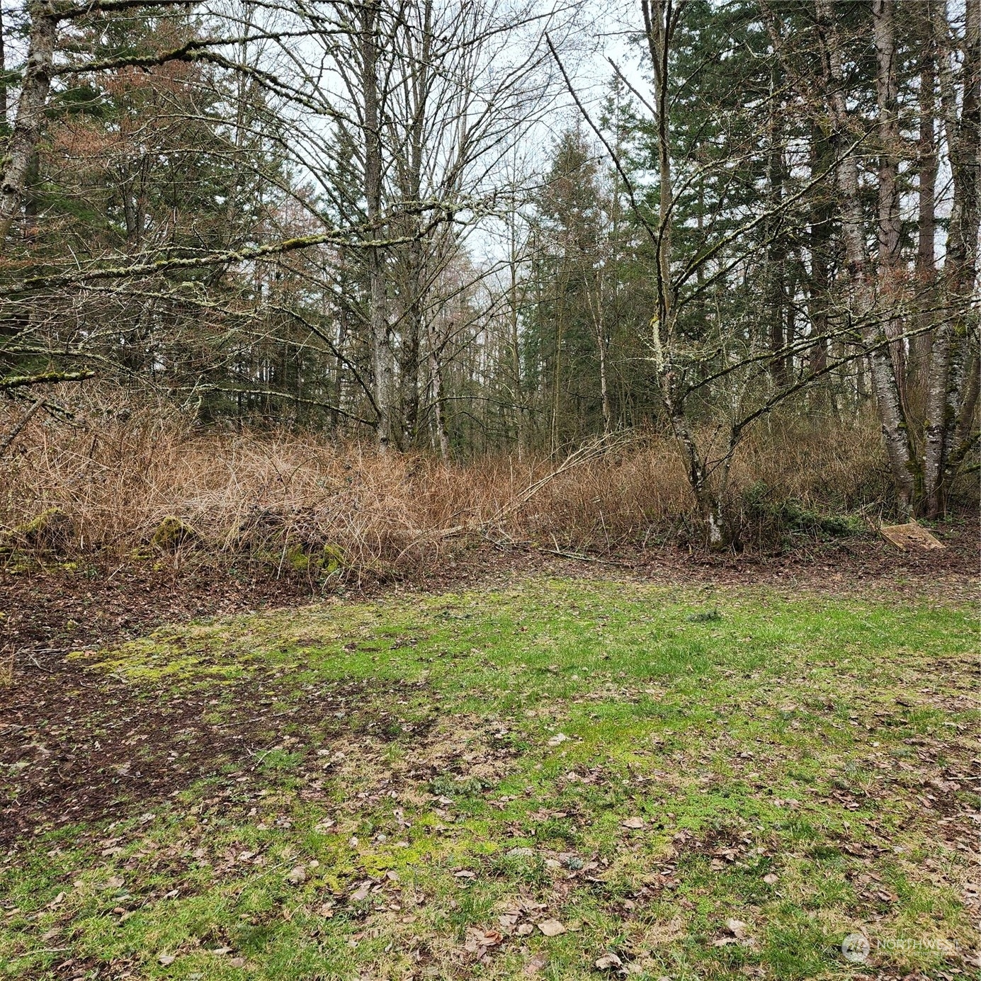 0 Valley View Lot 2 Road Property Photo 7