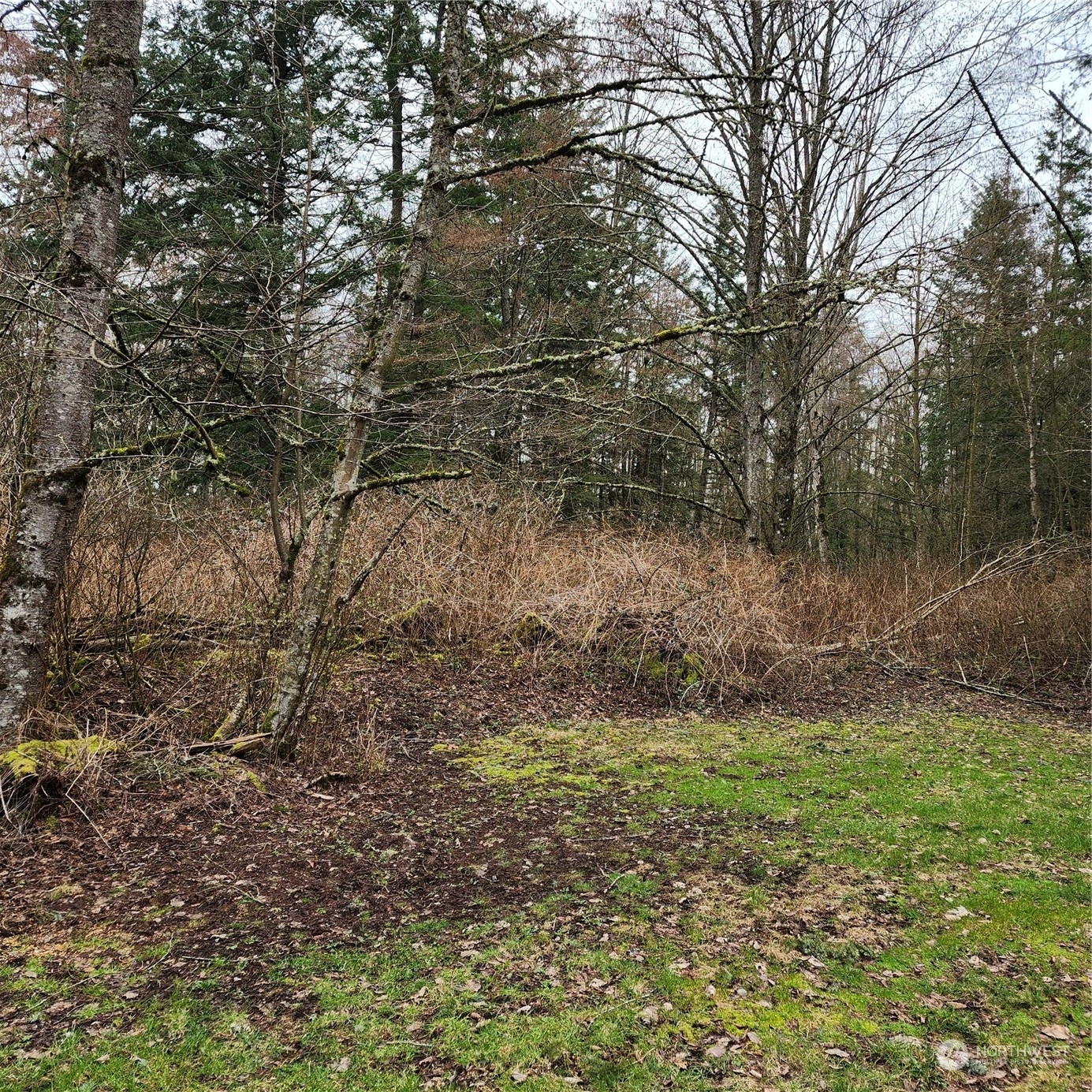 0 Valley View Lot 2 Road Property Photo 8