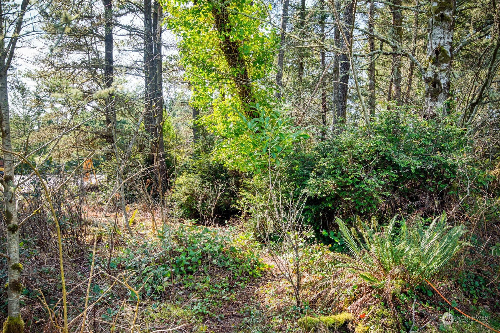 24007 V Ln Lane Property Photo 8