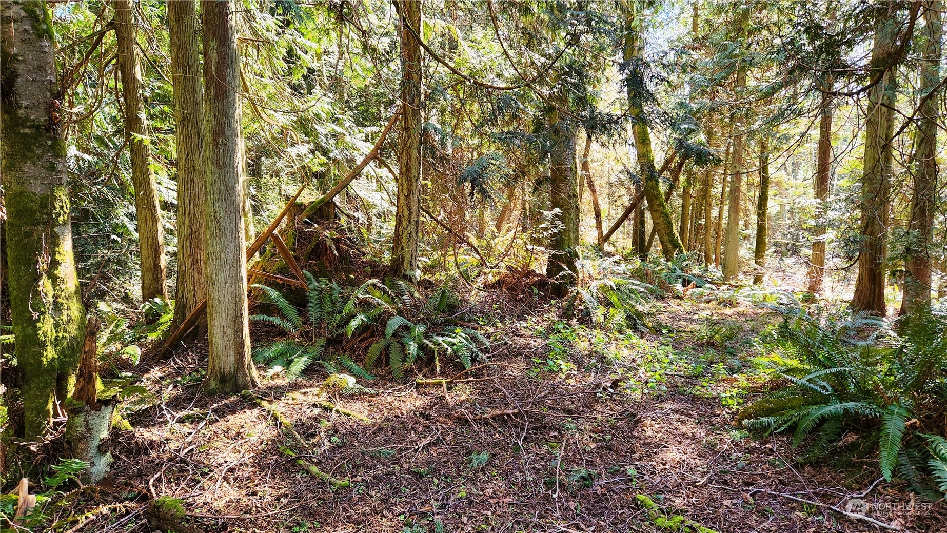 0 Lot 27 Skunk Bay Road Property Photo