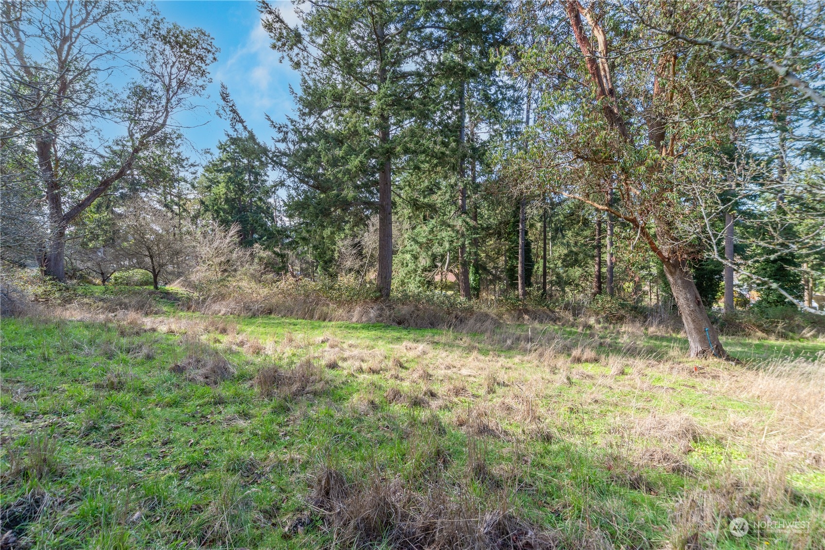 1431 Beech Street Property Photo 1